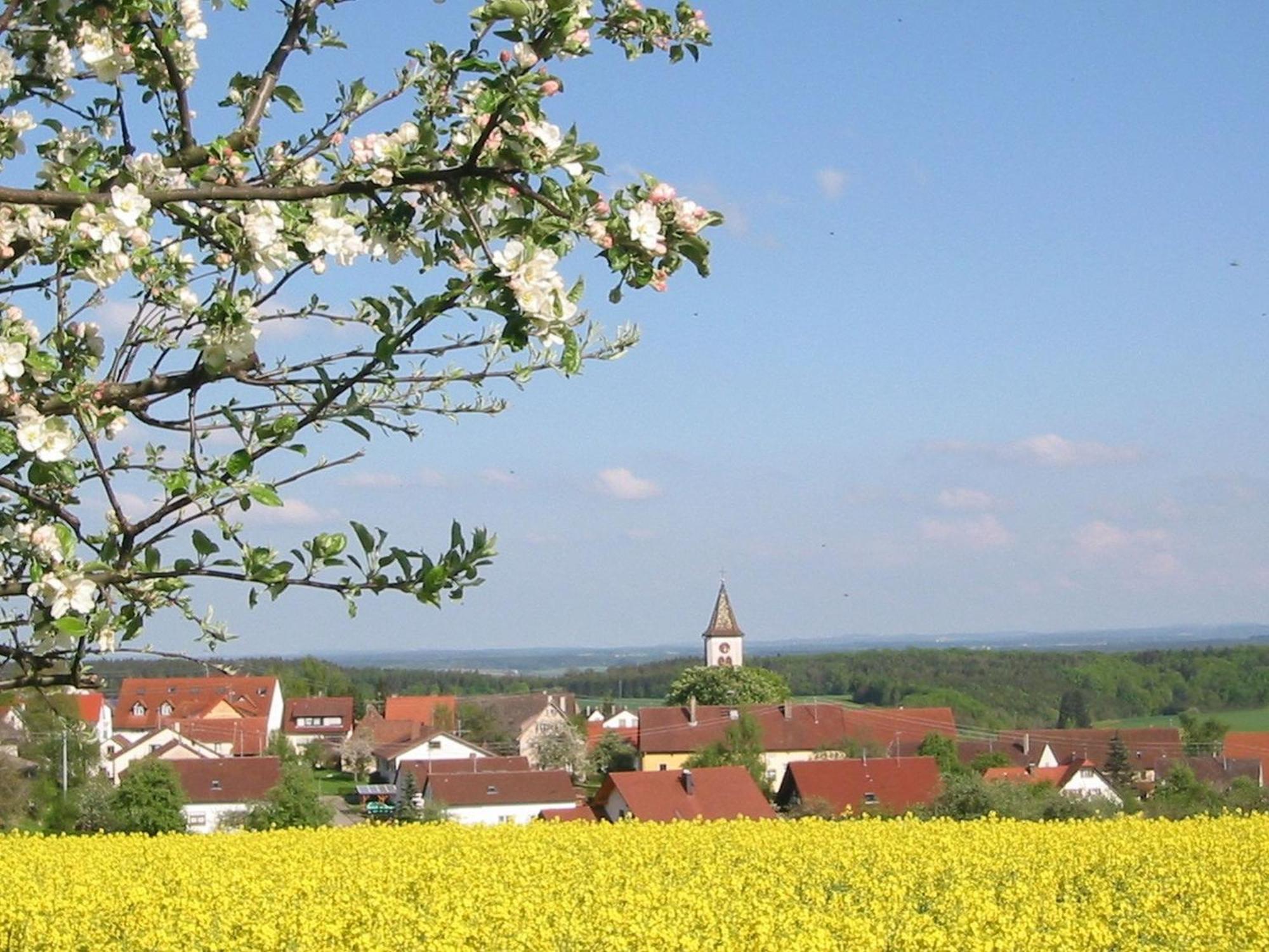 Holiday home Kleine Auszeit Thalheim (Sigmaringen)